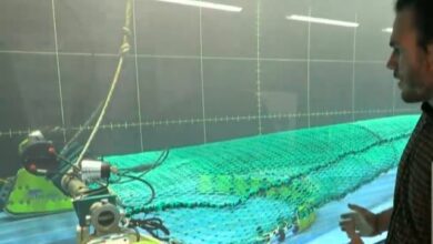 Científicos desarrollan sofisticado sistema de redes para pescar